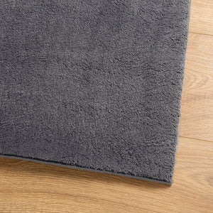 Waschbarer Teppich HUARTE Anthrazit 120x120 cm