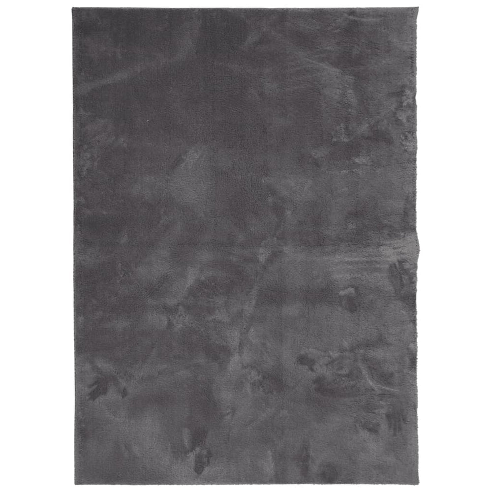 Anthrazit Teppich HUARTE 120x170 cm Waschbar