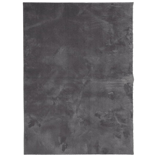 Anthrazit Teppich HUARTE 120x170 cm Waschbar
