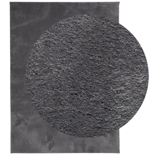 Anthrazit Teppich HUARTE 120x170 cm Waschbar