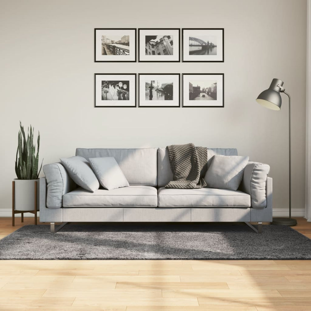 Anthrazit Teppich HUARTE 120x170 cm Waschbar