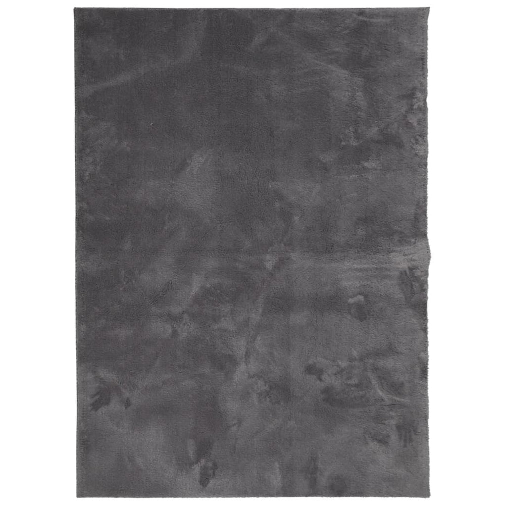 Waschbarer Teppich HUARTE Anthrazit 140x200 cm