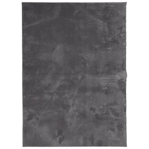 Waschbarer Teppich HUARTE Anthrazit 140x200 cm