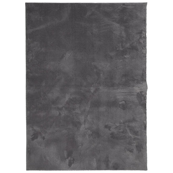 Waschbarer Teppich HUARTE Anthrazit 140x200 cm