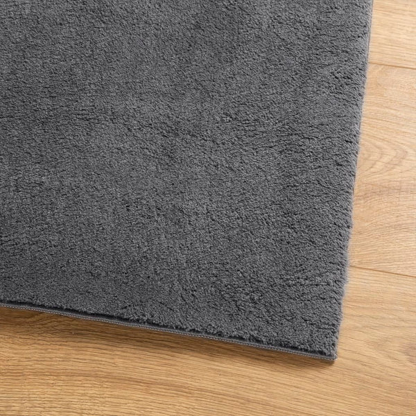 Waschbarer Teppich HUARTE Anthrazit 140x200 cm