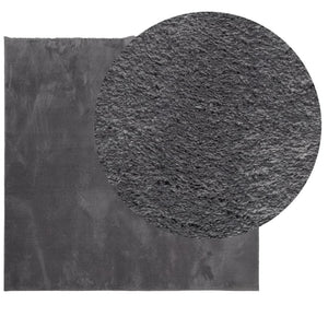 Anthrazit Teppich HUARTE, 160x160 cm
