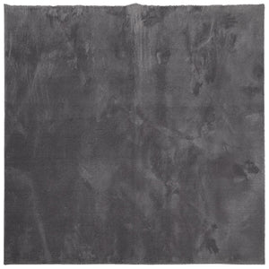 Anthrazit Teppich HUARTE 200x200 cm