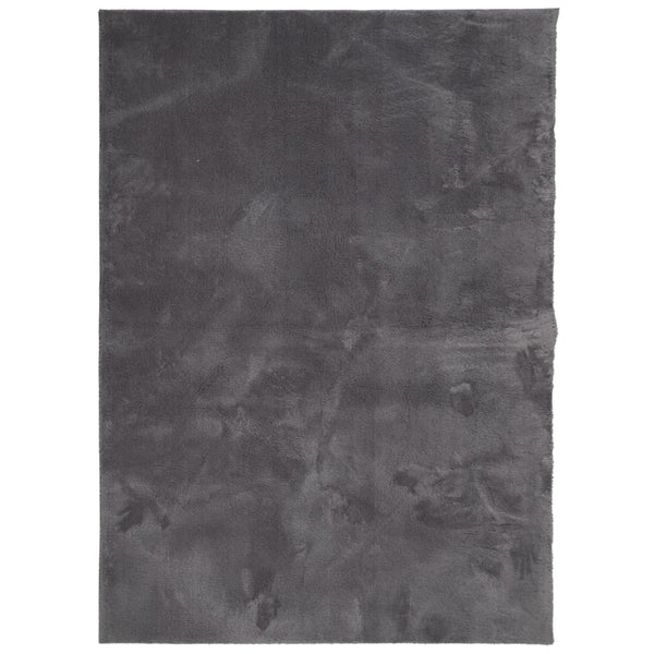 Anthrazit Teppich HUARTE 200x280 cm