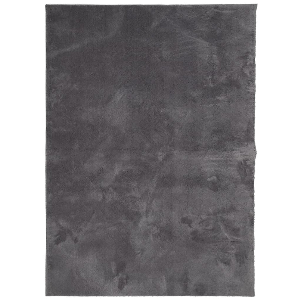 Teppich Anthrazit Kurzflor 240x340 cm Waschbar