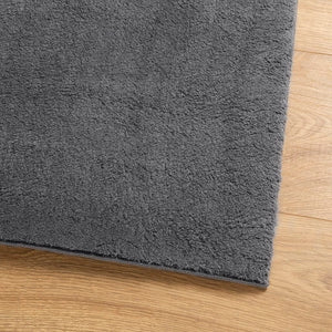 Teppich Anthrazit Kurzflor 240x340 cm Waschbar