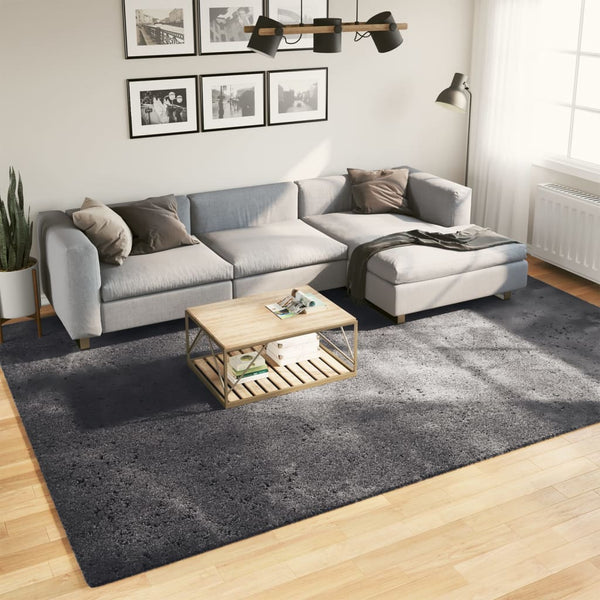 Teppich Anthrazit Kurzflor 240x340 cm Waschbar