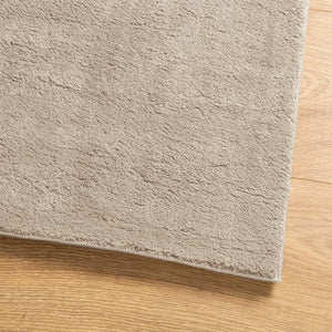 Sandfarbener Teppich HUARTE, 60x110 cm