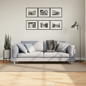 Sandfarbener Teppich HUARTE, 100x200 cm