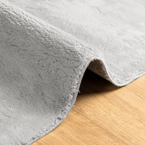 Grauer Kurzflor Teppich HUARTE, 80x200 cm
