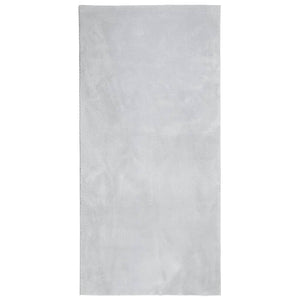 Waschbarer Teppich HUARTE Grau 100x200 cm