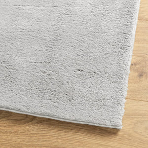 Grauer Kurzflor Teppich HUARTE 160x230 cm