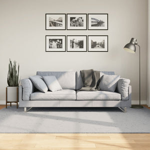 Grauer Kurzflor Teppich HUARTE 160x230 cm