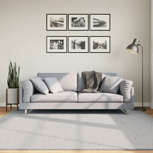 Waschbarer Teppich HUARTE, Kurzflor, Grau, 200x200 cm