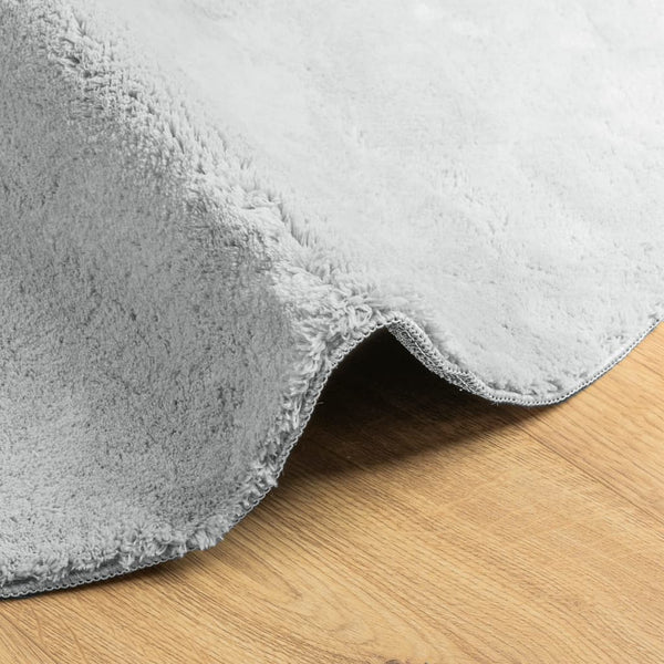 Waschbarer Teppich HUARTE Grau Ø 100cm
