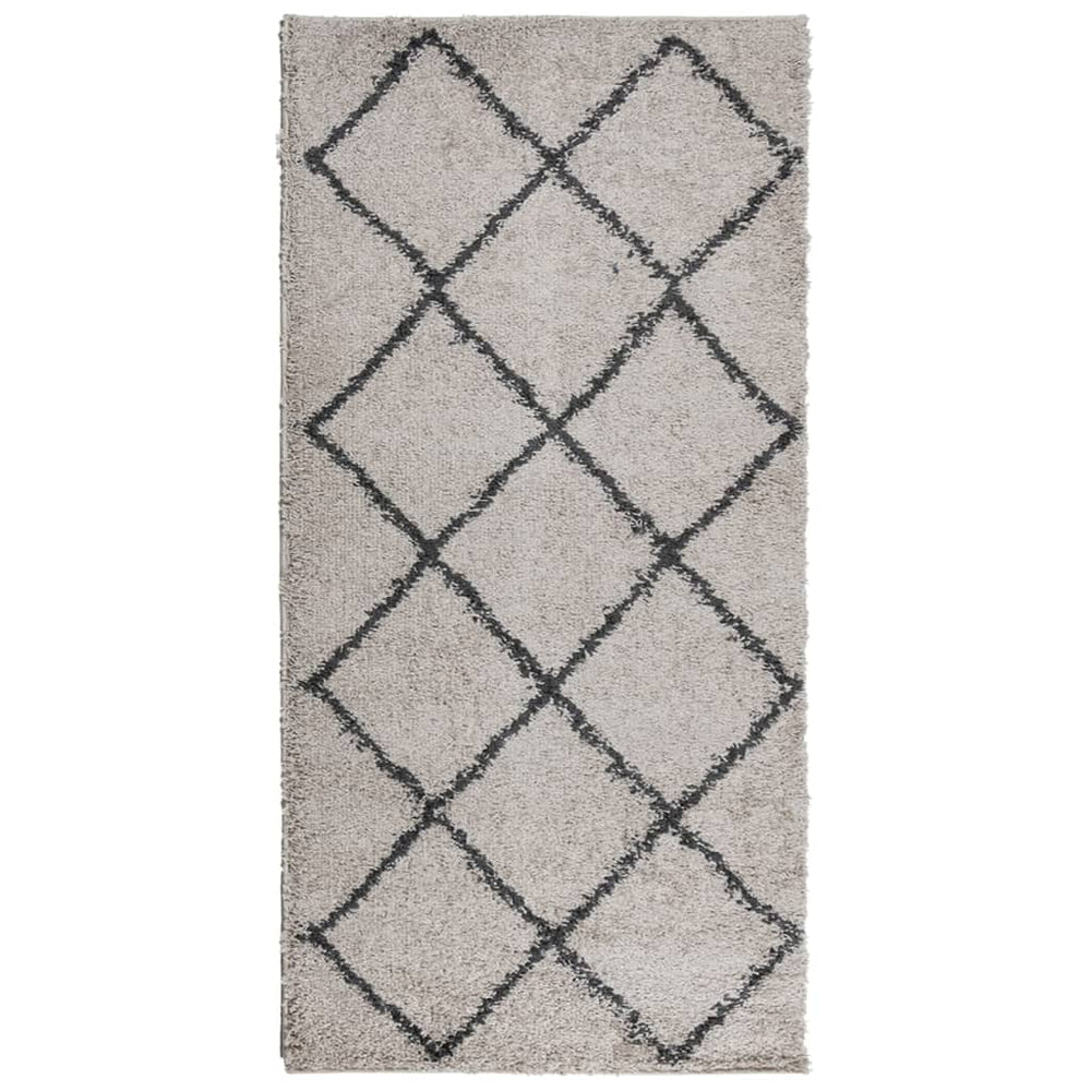 Shaggy Teppich Pamplona Beige & Anthrazit 100x200 cm