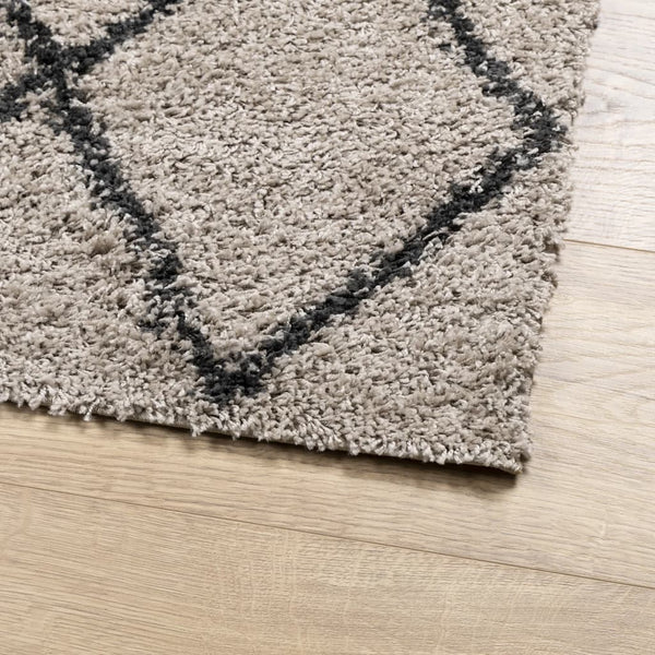 Shaggy Teppich Pamplona Beige & Anthrazit 100x200 cm