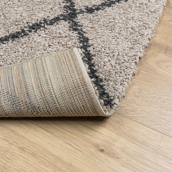 Shaggy Teppich Pamplona Beige & Anthrazit 100x200 cm