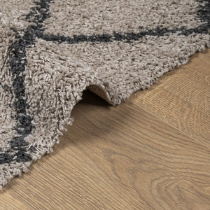Shaggy Teppich Pamplona Beige & Anthrazit 100x200 cm