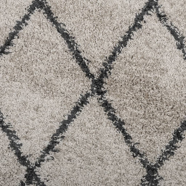 Shaggy Teppich Pamplona Beige Anthrazit Ø 100cm
