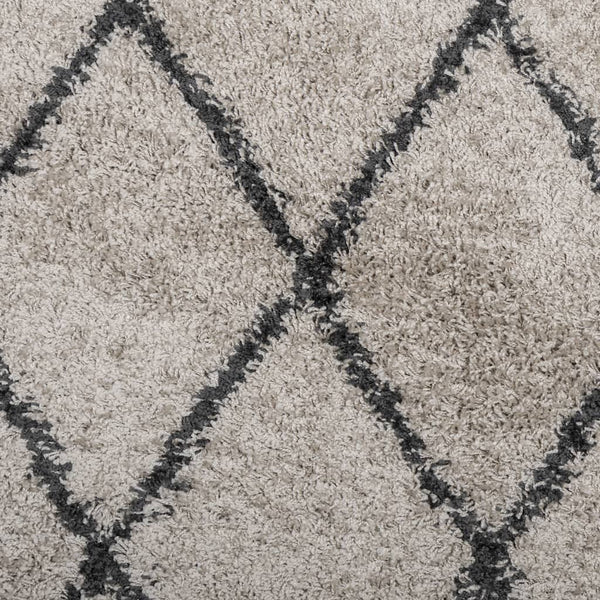 Shaggy Teppich Pamplona Beige Anthrazit Ø 120cm