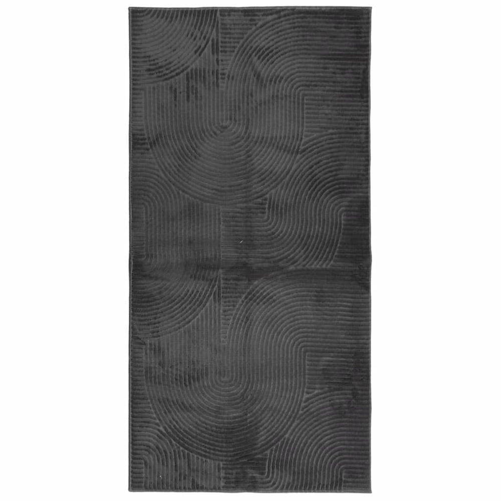 Anthrazit Teppich IZA, Skandi-Stil, 100x200 cm
