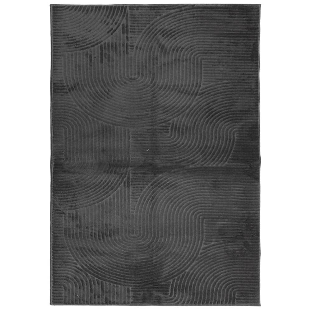 Anthrazit Teppich IZA, Skandi-Stil, 160x230 cm