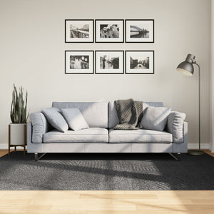Anthrazit Teppich IZA, Skandi-Stil, 160x230 cm