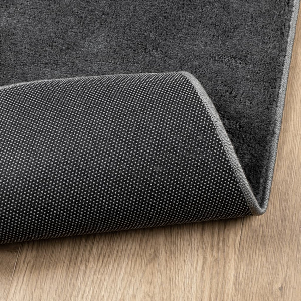 Anthrazit Teppich OVIEDO Kurzflor 80x250 cm