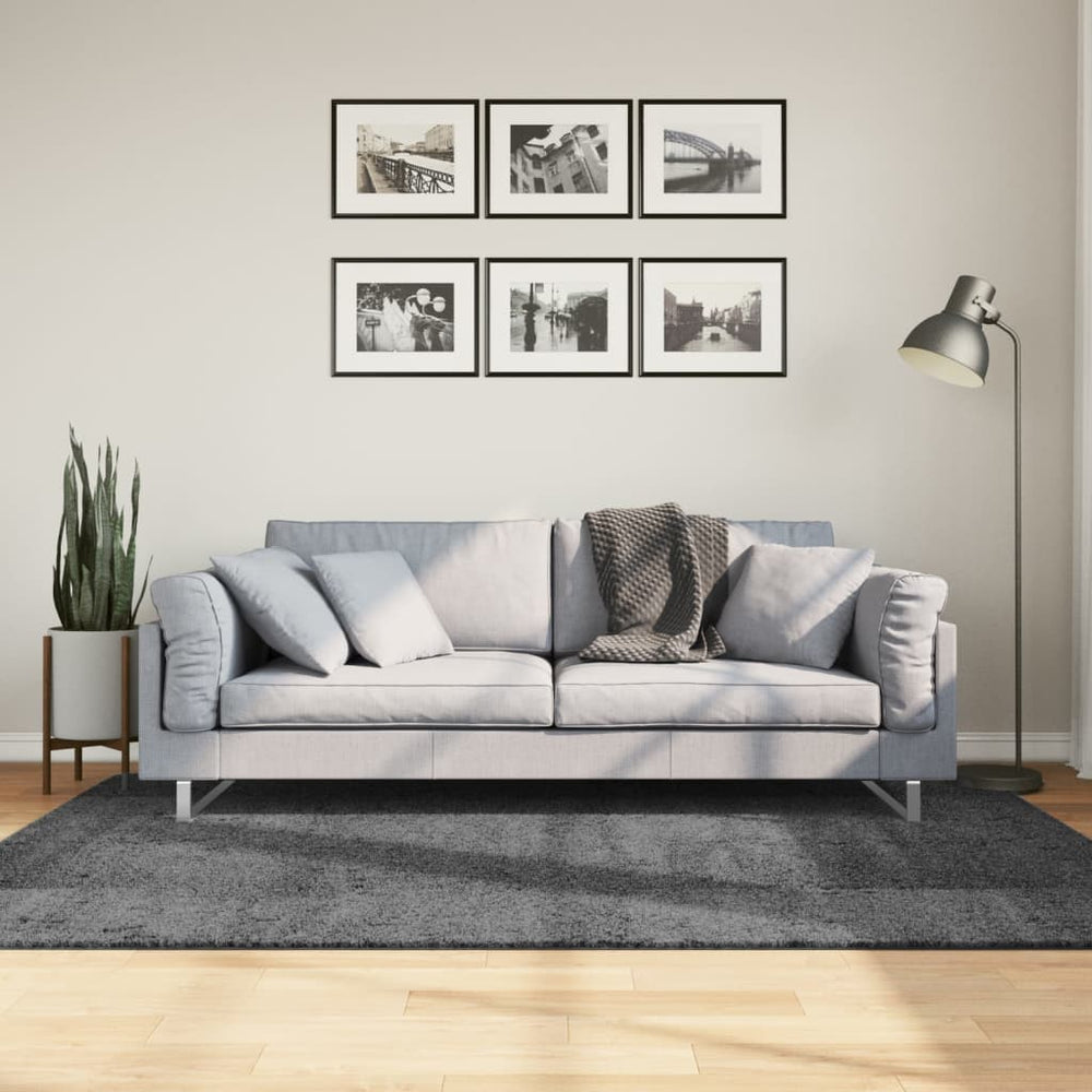 Anthrazit Kurzflor Teppich 140x200 cm