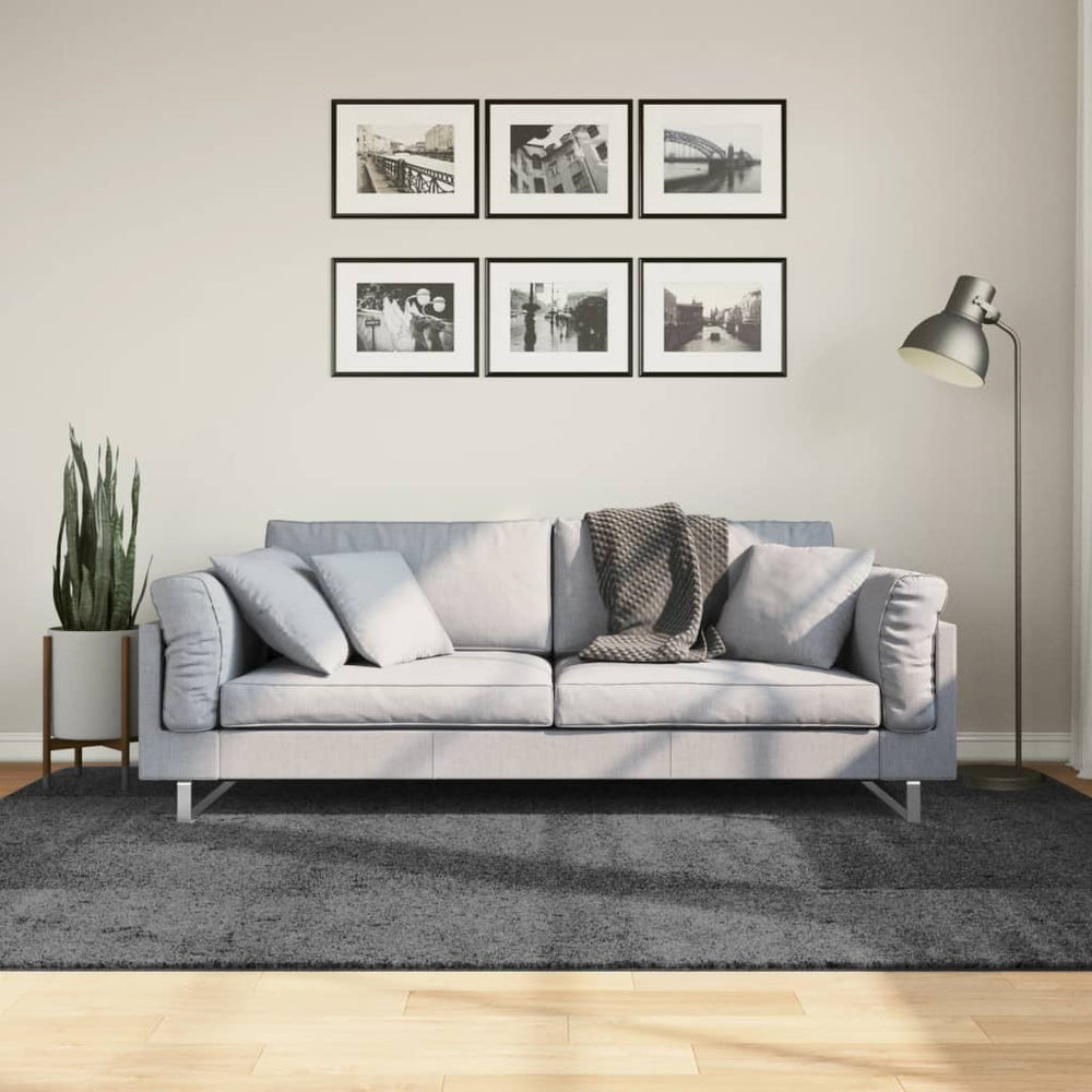 Anthrazit Kurzflor Teppich 160x230 cm