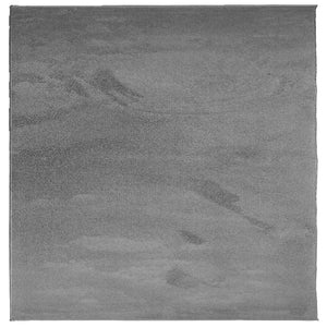 Anthrazit Teppich OVIEDO Kurzflor 240x240 cm