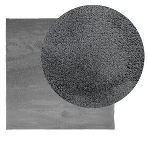 Anthrazit Teppich OVIEDO Kurzflor 240x240 cm