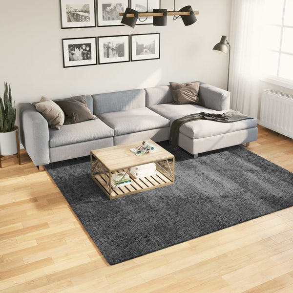 Anthrazit Teppich OVIEDO Kurzflor 240x240 cm