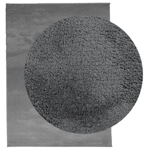 Anthrazit Kurzflor Teppich 240x340 cm