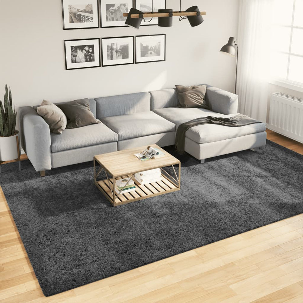 Anthrazit Kurzflor Teppich 240x340 cm