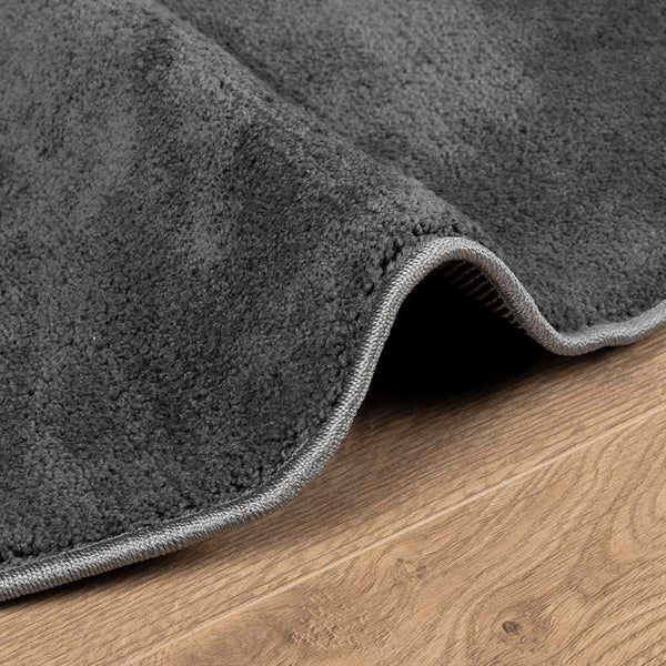 Anthrazit Teppich Kurzflor Ø 200 cm