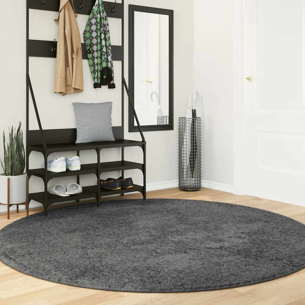Anthrazit Teppich Kurzflor Ø 200 cm