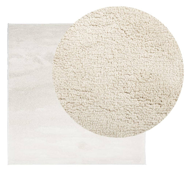 Beiger Kurzflor Teppich OVIEDO 120x120 cm
