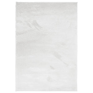 Grauer Kurzflor Teppich OVIEDO 160x230 cm