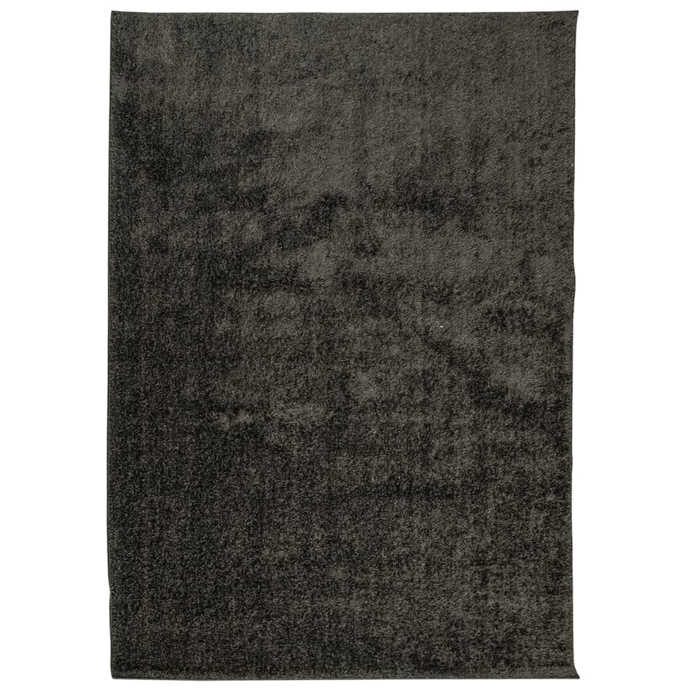 vidaXL Tapis ISLAN Shaggy Brillant Anthracite 120x170 cm
