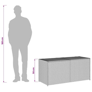 Gartentruhe Schwarz 283L Poly Rattan