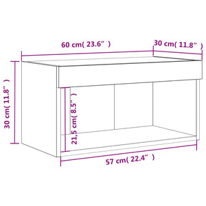 TV-Schrank Räuchereiche mit LED 60x30x30 cm