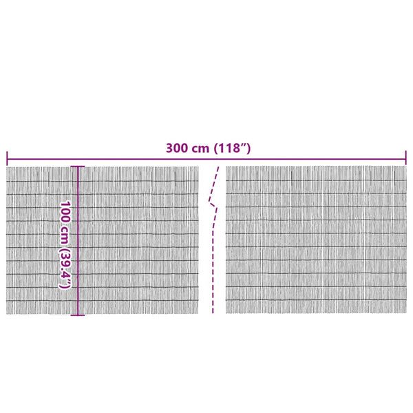 Schilf Gartenzaun 300x100 cm