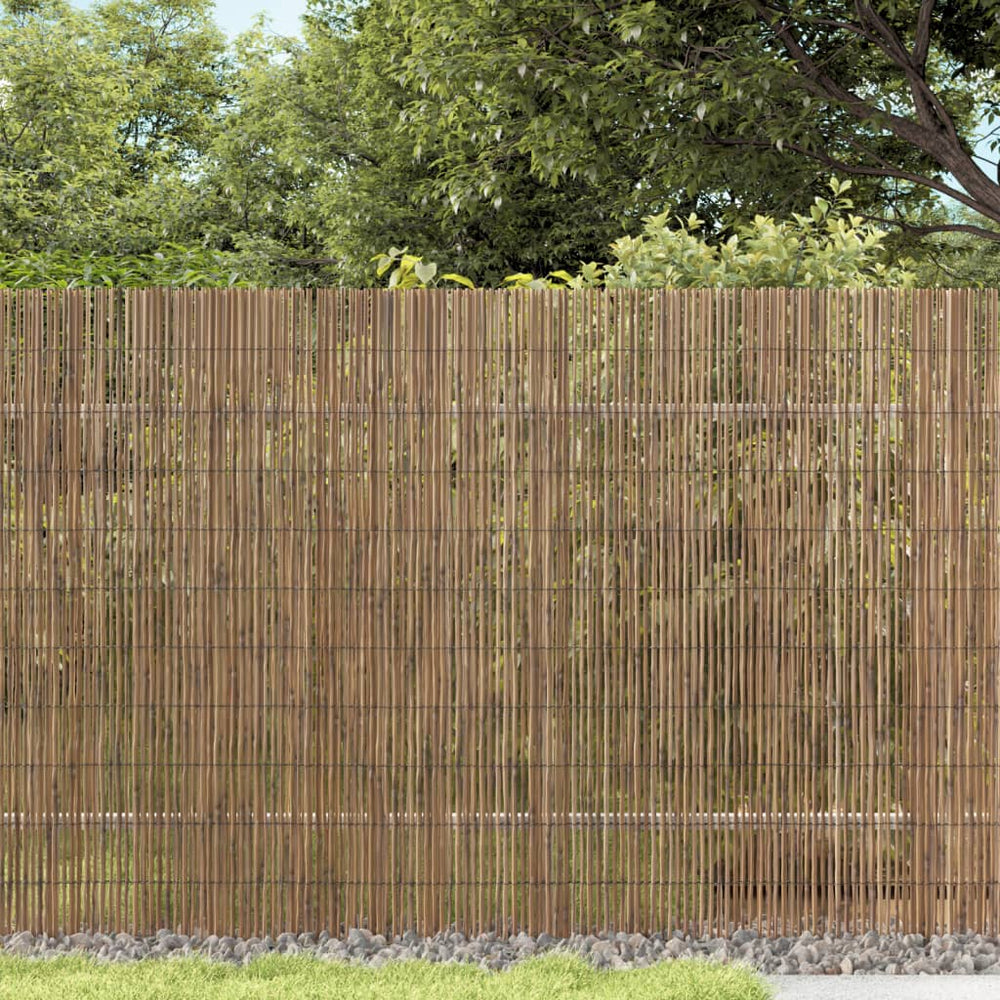 Schilf Gartenzaun 300x100 cm