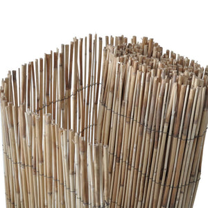 Schilf Gartenzaun 600x100 cm